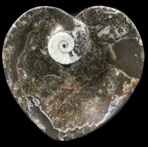 Heart Shaped Fossil Goniatite Dish #39345
